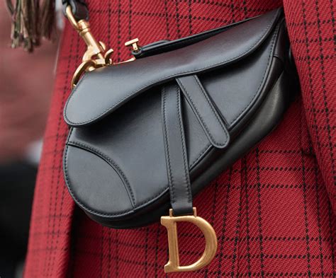 sable bag dior|Dior lambskin bag.